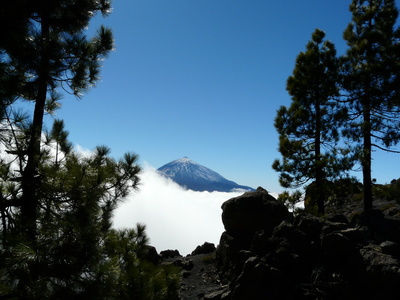 Pico de Teide, Teneriffa (daniel stricker / pixelio.de)