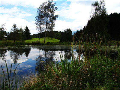 Biotop im Allgäu