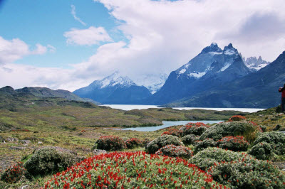 Patagonien (Silke Bachmann / pixelio.de)